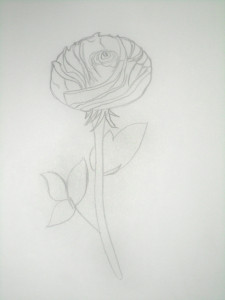 Как нарисовать розу карандашом поэтапно