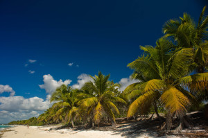 Как отдохнуть на Карибских островах - отдых на Карибских островах всей семьёй