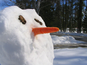 Нос-морковка у снеговика